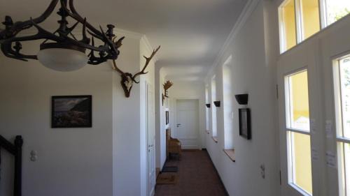 Gingst Apartment | Parterre B Mitte