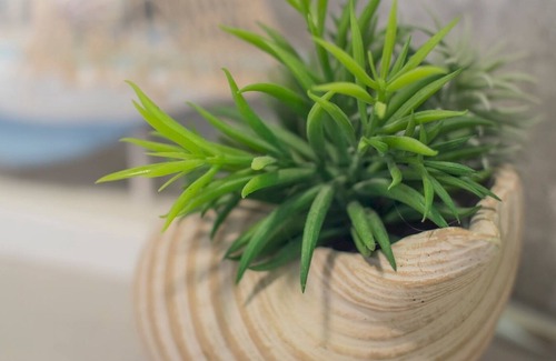 Canton Apartment | Pass the Keys | The perfect Canton retreat, spacious and modern