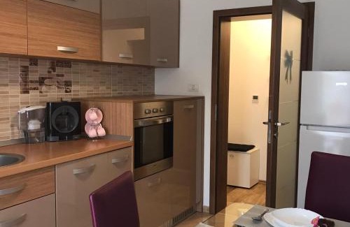 Dumbravita Apartment | Paula Apartment