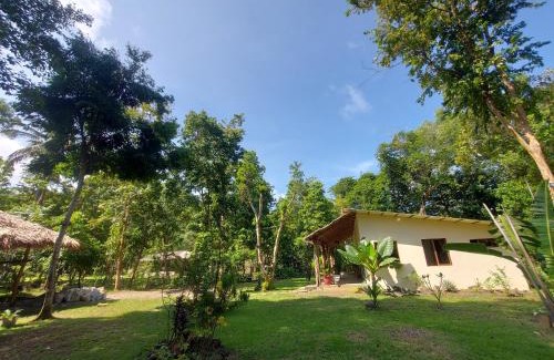 Puerto Princesa House | Payapa garden Nagtabon Beach