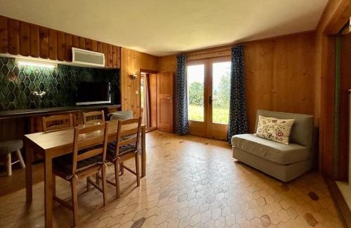 Villars-sur-Ollon Ski Chalet | Peace & comfort - Great views and location