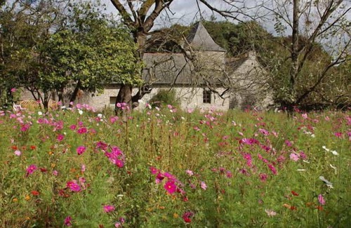 Comblessac House | PEACE, PRIVACY AND HISTORY—ALL WRAPPED UP IN A MAGICAL SETTING