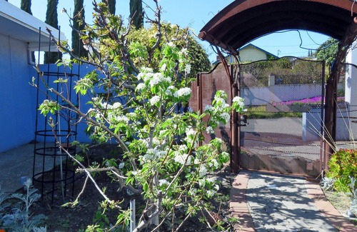 East San Jose Apartment | Peace & Quiet Above Silicon Valley