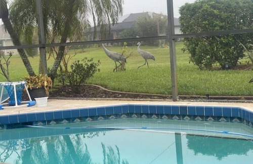 Deep Creek House | Peace /Quiet with a Pool