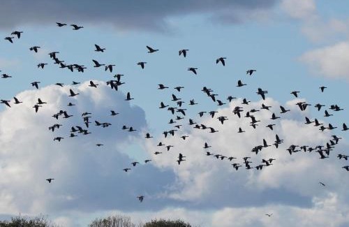 Øksenmølle House | Peaceful Cabin Retreat in Ebeltoft