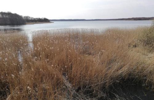 Øksenmølle House | Peaceful Cabin Retreat in Ebeltoft