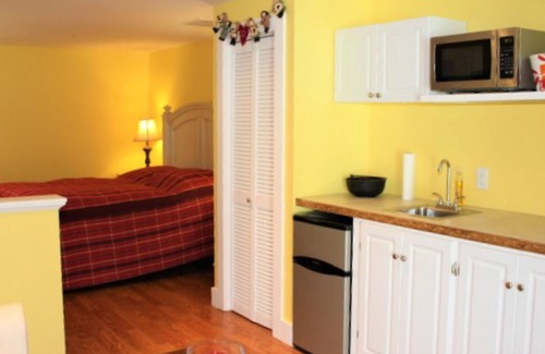 Laconia House | Peaceful dog-friendly home with private pool, patio, pool table, gas grill & W/D