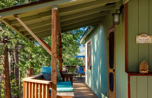 Idyllwild House | Peaceful dog-friendly cabin with deck, forest & mountain views, & private grill!