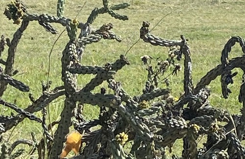 Rosston House | Peaceful home in the grasslands