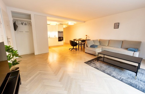 Enge Apartment | Peaceful living in the city of Zürich