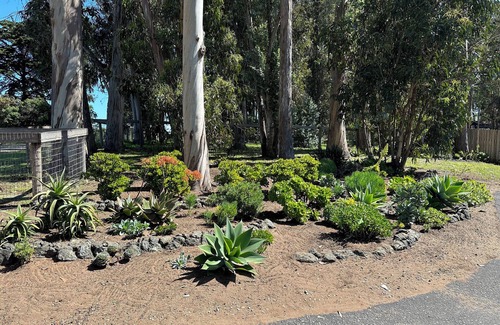 Baywood-Los Osos Apartment | Peaceful Suite by the Bay Pet-Friendly