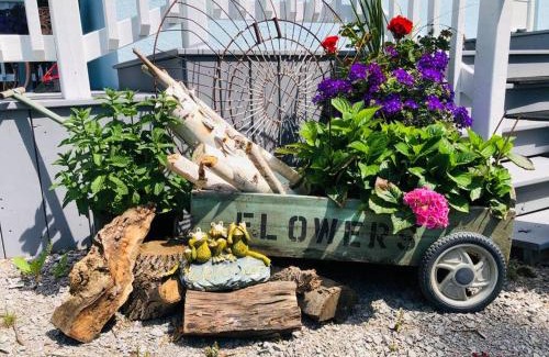 Victoria Road House | Peaceful Waterfront Cottage on Kawartha Lakes