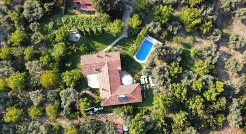 Selcuk Villa | Pearl of İzmir