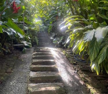 Kandy House | Pekoetrails Hantana Homestay