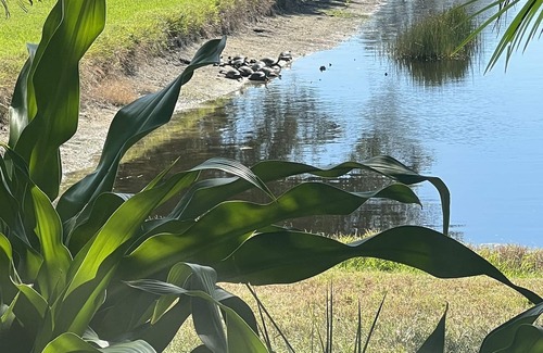 Venice Gardens Villa | Pelican Pointe Golf & Country Club-Rare 2 Bedroom/2 Bath Villa