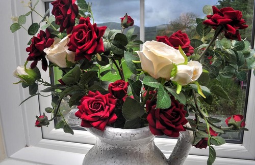 Bryn-crug Hotel | Peniarth arms