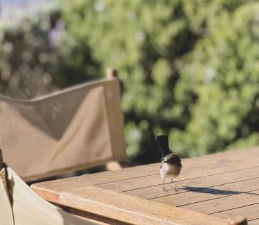 Penneshaw House | Penny Shack - Incredible sea views and just two minutes to the ferry