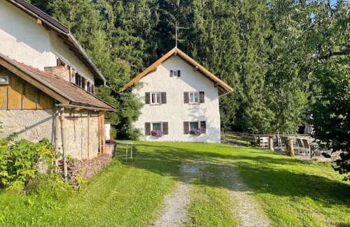 Regen Bed & Breakfast | Pension am Waldesrand