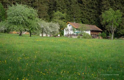 Regen Bed & Breakfast | Pension am Waldesrand