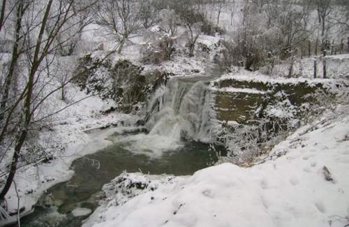 Talmaciu House | Pension Calborean