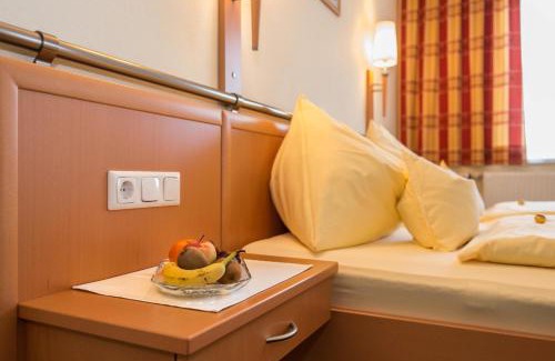 Russbach am Pass Gschuett House | Pension Elisabeth