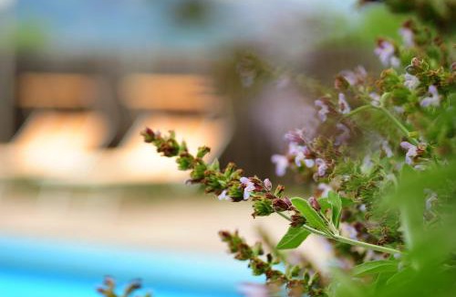 Gargazzone Bed & Breakfast | Pension Sonnheim