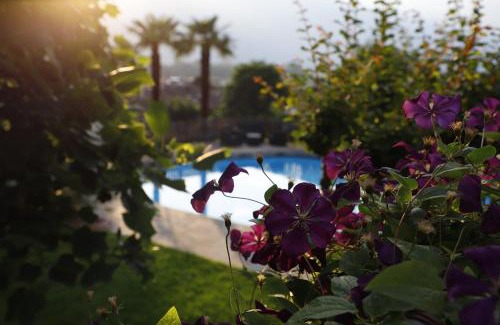 Gargazzone Bed & Breakfast | Pension Sonnheim