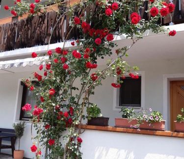 Rosenbach House | Pension Stausee
