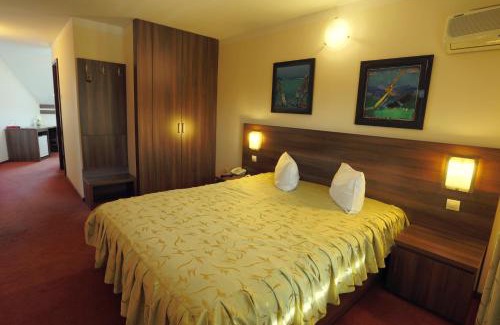 Tirgu Mures House | Pension Tempo