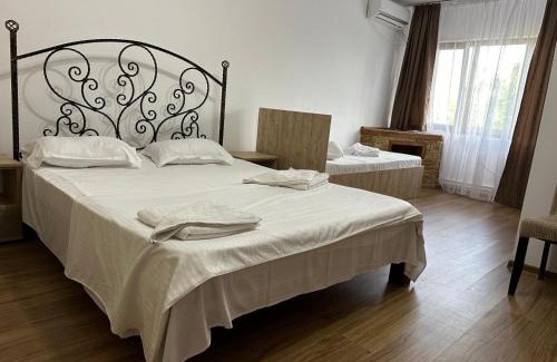 Ramnicu Sarat Hotel | Pensiune Restaurant Rustic Rm Sarat