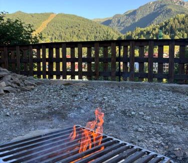 Borsa House | Pensiunea 3flori de Colț