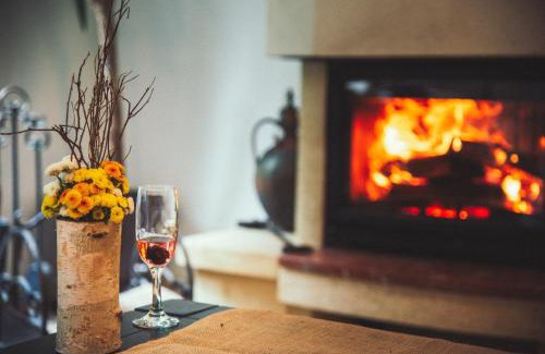 Paltinis House | Pensiunea Aria Paltinis