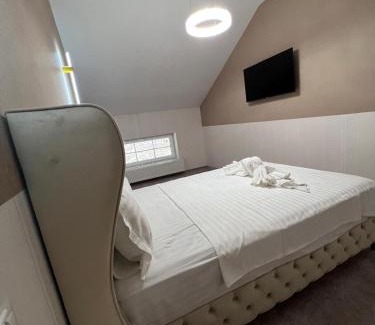 Teliu Hotel | Pensiunea Baroc