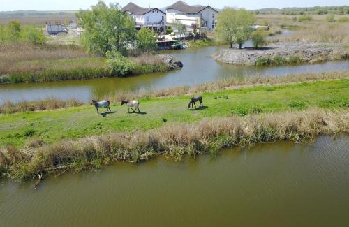 Colina House | Pensiunea Beluga
