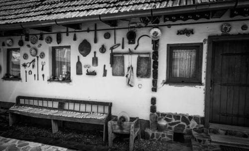 Cartisoara House | Pensiunea Dealu Morii