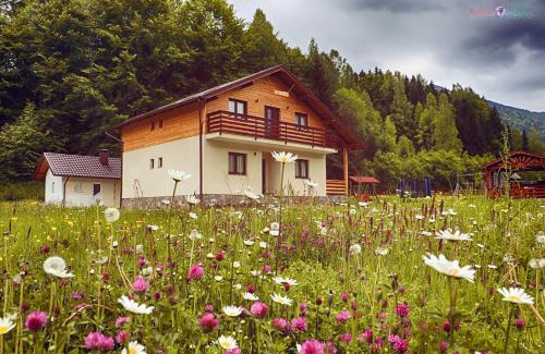 Moisei House | Pensiunea Floare de Colt