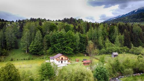 Moisei House | Pensiunea Floare de Colt