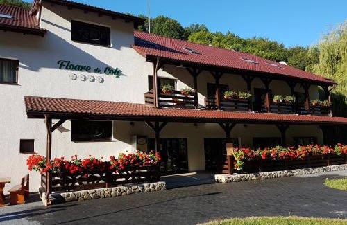 Galda de Jos House | Pensiunea Floare De Colt