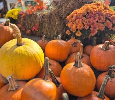 Moeciu de Sus House | Pensiunea Floarea Munților