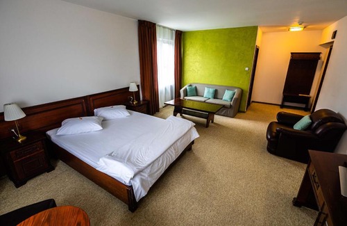 Tirgu Mures House | Pensiunea Flora