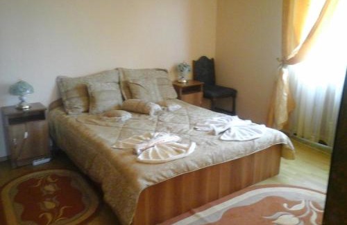 Sieu House | Pensiunea Georgiana