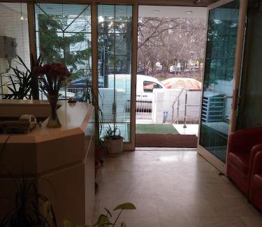 Kiseleff House | Pensiunea Helvetia