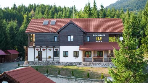 Bistrita Bargaului House | Pensiunea Ily