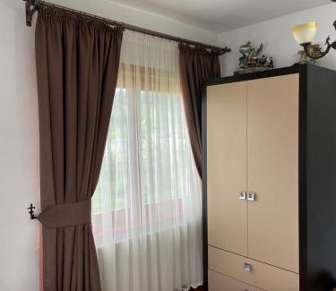 Borsa House | Pensiunea Lavinia Daniel