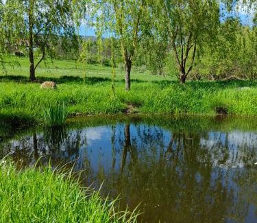 Desesti House | Pensiunea Mara