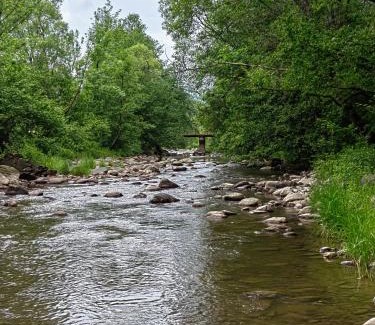 Desesti House | Pensiunea Mara