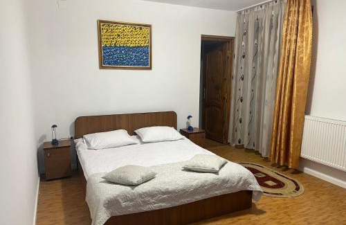 Fieni House | Pensiunea Soreanca