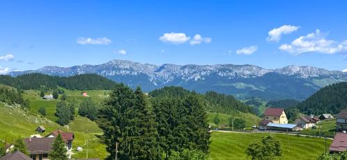 Fundata House | Pensiunea Ursul Carcotas