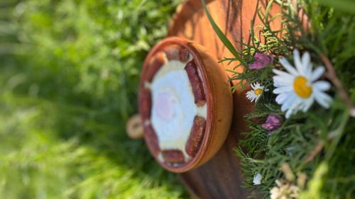 Fundata House | Pensiunea Ursul Carcotas