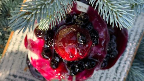 Fundata House | Pensiunea Ursul Carcotas